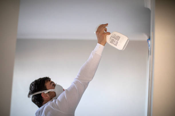 Best Basement Mold Remediation in Newman, CA