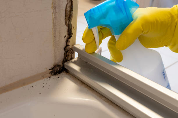 Best Industrial Mold Remediation in Newman, CA