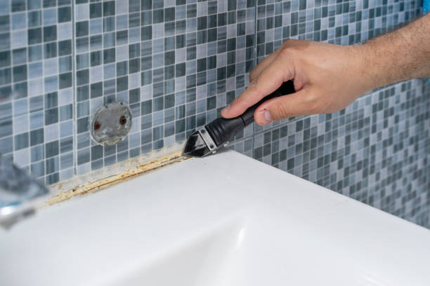 Best Post-Flood Mold Remediation in Newman, CA
