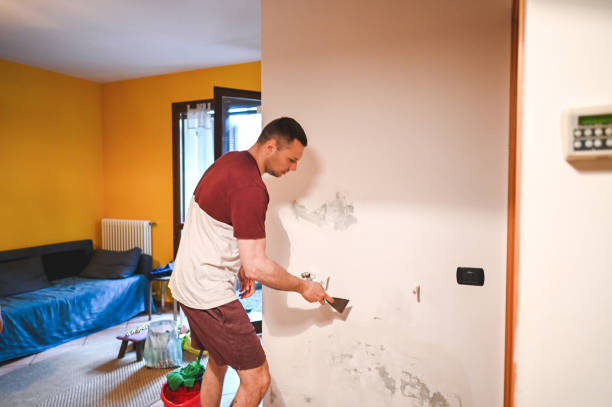 Best Insurance-Related Mold Remediation in Newman, CA